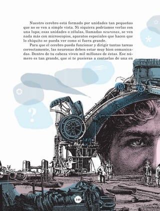 140
Nuestro cerebro está formado por unidades tan pequeñas
que no se ven a simple vista. Ni siquiera podríamos verlas con
una lupa; esas unidades o células, llamadas neuronas, se ven
nada más con microscopios, aparatos especiales que hacen que
lo chiquito se pueda ver como si fuera grande.
Para que el cerebro pueda funcionar y dirigir tantas tareas
correctamente, las neuronas deben estar muy bien comunica-
das. Dentro de tu cabeza viven mil millones de éstas. Ese nú-
mero es tan grande, que si te pusieras a contarlas de una en
LECTURAS 4 NO BERMAN.indd 140 27/03/12 13:37
 