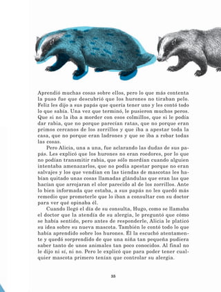 35
Aprendió muchas cosas sobre ellos, pero lo que más contenta
la puso fue que descubrió que los hurones no tiraban pelo.
Feliz les dijo a sus papás que quería tener uno y les contó todo
lo que sabía. Una vez que terminó, le pusieron muchos peros.
Que si no la iba a morder con esos colmillos, que si le podía
dar rabia, que no porque parecían ratas, que no porque eran
primos cercanos de los zorrillos y que iba a apestar toda la
casa, que no porque eran ladrones y que se iba a robar todas
las cosas.
Pero Alicia, una a una, fue aclarando las dudas de sus pa-
pás. Les explicó que los hurones no eran roedores, por lo que
no podían transmitir rabia, que sólo mordían cuando alguien
intentaba amenazarlos, que no podía apestar porque no eran
salvajes y los que vendían en las tiendas de mascotas les ha-
bían quitado unas cosas llamadas glándulas que eran las que
hacían que arrojaran el olor parecido al de los zorrillos. Ante
lo bien informada que estaba, a sus papás no les quedó más
remedio que prometerle que lo iban a consultar con su doctor
para ver qué opinaba él.
Cuando llegó el día de su consulta, Hugo, como se llamaba
el doctor que la atendía de su alergia, le preguntó que cómo
se había sentido, pero antes de responderle, Alicia le platicó
su idea sobre su nueva mascota. También le contó todo lo que
había aprendido sobre los hurones. Él la escuchó atentamen-
te y quedó sorprendido de que una niña tan pequeña pudiera
saber tanto de unos animales tan poco conocidos. Al final no
le dijo ni sí, ni no. Pero le explicó que para poder tener cual-
quier mascota primero tenían que controlar su alergia.
LECTURAS 4 NO BERMAN.indd 35 27/03/12 13:34
 