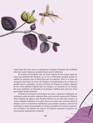 158
simos tipos de virus, pero no cualquiera contagia el dengue. En realidad,
sólo hay cuatro tipos que pueden hacer que te enfermes.
Si te pica un mosquito que no tiene alguno de los cuatro tipos de
virus que pueden dar dengue, no te vas a enfermar; cuando mucho te
saldrá un piquete que te dará lata por la comezón. Pero si te pica un
mosquito que tiene al virus del dengue viviendo dentro de su boca, es
posible que te contagies, ya que a la hora de chupar tu sangre, algunos
de los virus saldrán, bajarán por su trompa y se meterán en tu cuerpo.
En otras palabras, el mosquito es la jeringa voladora que usan los virus
para llegar hasta nosotros.
Cuando el mosquito con dengue nos pica y aparece el piquete, no
sentimos nada durante algunos días, pero pronto aparecerán fiebres
altas, dolores de cabeza muy fuertes, dolores en el resto del cuerpo y, a
veces, saldrán ronchitas en la piel. Como no existe una vacuna contra el
dengue, pero sí conocemos medicinas que pueden ayudar a aliviar los
síntomas, lo más recomendable es visitar al médico en cuanto se presen-
ten la fiebre y los dolores de cabeza. Si todavía tenemos el piquete, es
conveniente mostrárselo al doctor.
AB-Lecturas-5 NO BERMAN p001-208.indd 158 27/03/12 13:30
 