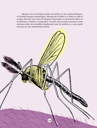 159
Algunas veces el dengue puede convertirse en una enfermedad gra-
ve llamada dengue hemorrágico. Además de la fiebre y el dolor en todo el
cuerpo, durante una crisis de dengue hemorrágico se presentan dolor en
el abdomen, vómitos y sangrados. Cuando una persona presenta estos
síntomas debe ser atendida rápidamente por los médicos, ya que puede
tratarse de una enfermedad mortal.
AB-Lecturas-5 NO BERMAN p001-208.indd 159 27/03/12 13:30
 