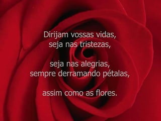 Dirijam vossas vidas,  seja nas tristezas,  seja nas alegrias,  sempre derramando pétalas,  assim como as flores.  