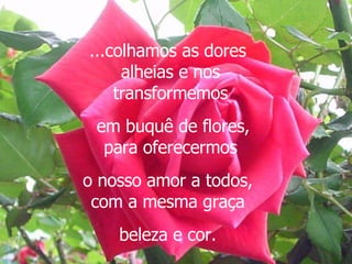 ...colhamos as dores  alheias e nos transformemos em buquê de flores, para oferecermos  o nosso amor a todos,  com a mesma graça  beleza e cor.  