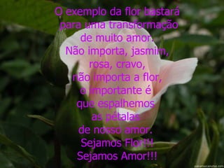 O exemplo da flor bastará para uma transformação de muito amor.  Não importa, jasmim, rosa, cravo,  não importa a flor, o importante é  que espalhemos  as pétalas  de nosso amor.  Sejamos Flor!!! Sejamos Amor!!! 