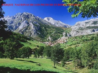 PARQUE  NACIONAS DE LOS PICOS DE EUROPA, ASTURIAS. 