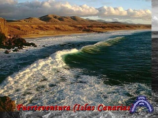 Fuerteventura (Islas Canarias) 