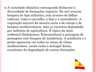  A variedade climática corresponde fielmente à
diversidade de formações vegetais. No sul crescem
bosques de tipo atlântico, com árvores de folhas
caducas, como o carvalho, a faia e o castanheiro. A
vegetação natural da meseta seria a de estepe e de
bosques mediterrâneos, mas se encontra degradada
por milênios de agricultura. É típica da zona
ocidental (Salamanca, Extremadura) a paisagem de
pastagens com bosques de azinheiras. A azinheira e o
pinho aparecem em todas as zonas de clima
mediterrâneo, assim como o matagal denso,
resultante da degradação de outras formações
 