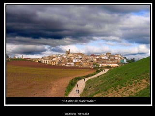 CIRAUQUI – NAVARRA