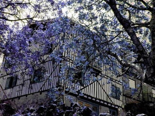 LA ALBERCA, SALAMANCA