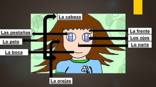 Los ojos
Lo nariz
Las pestañas
La boca
Lo pelo
La frente
La cabeza
La orejas
 