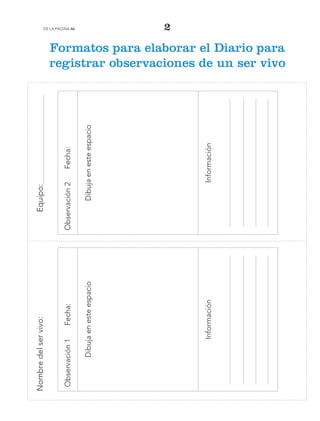 Sección recortable
211
de la Página 46 2
Formatos para elaborar el Diario para
registrar observaciones de un ser vivo
Nombredelservivo:Equipo:
Observación1Fecha:
Dibujaenesteespacio
Información
Observación2Fecha:
Dibujaenesteespacio
Información
Libro AB-ESP-2-P-001-216.indb 211 13/03/13 15:57
 