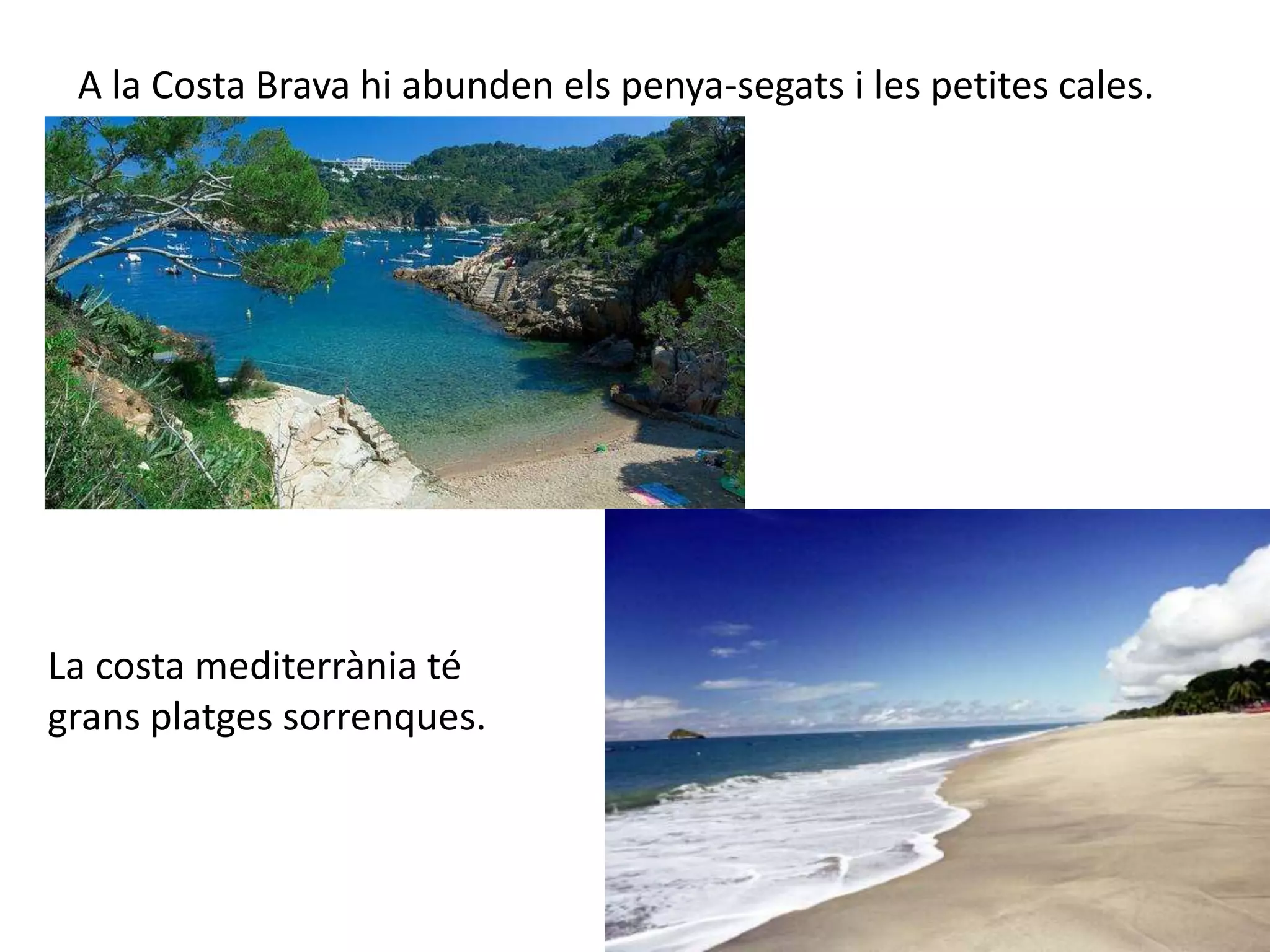 A la Costa Brava hi abunden els penya-segats i les petites cales. 
La costa mediterrània té 
grans platges sorrenques. 
 