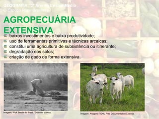 AGROPECUÁRIA
EXTENSIVAbaixos investimentos e baixa produtividade;
uso de ferramentas primitivas e técnicas arcaicas;
constitui uma agricultura de subsistência ou itinerante;
degradação dos solos;
criação de gado de forma extensiva.
GEOGRAFIA , 3º Ano do Ensino Médio
O Espaço Rural Brasileiro
Imagem: Anagoria / GNU Free Documentation License.
Imagem: Wolf Seeds do Brasil / Domínio público.
 