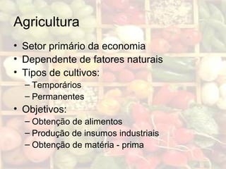Agricultura
• Setor primário da economia
• Dependente de fatores naturais
• Tipos de cultivos:
– Temporários
– Permanentes
• Objetivos:
– Obtenção de alimentos
– Produção de insumos industriais
– Obtenção de matéria - prima
 