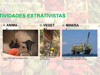 TIVIDADES EXTRATIVISTAS
GEOGRAFIA , 3º Ano do Ensino
Médio
O Espaço Rural Brasileiro
ANIMA
L
VEGET
AL
MINERA
L
Image: André / GNU Free Documentation
License.
Imagem: Divulgação Petrobras / ABr /
Creative Commons Atribuição 3.0 Brasil.
Imagem: Jan-Pieter Nap /
Domínio público.
 