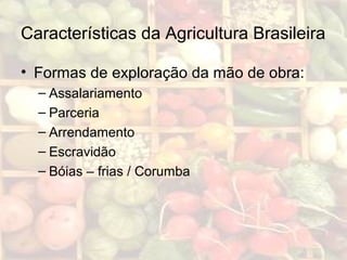 Características da Agricultura Brasileira
• Formas de exploração da mão de obra:
– Assalariamento
– Parceria
– Arrendamento
– Escravidão
– Bóias – frias / Corumba
 