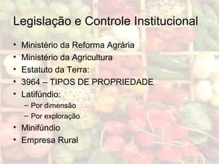 Legislação e Controle Institucional
• Ministério da Reforma Agrária
• Ministério da Agricultura
• Estatuto da Terra:
• 3964 – TIPOS DE PROPRIEDADE
• Latifúndio:
– Por dimensão
– Por exploração
• Minifúndio
• Empresa Rural
 