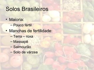 Solos Brasileiros
• Maioria:
– Pouco fértil
• Manchas de fertilidade:
– Terra – roxa
– Massapê
– Salmourão
– Solo de várzea
 