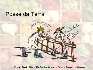 Posse da Terra
Fonte: David Gibbs McGrath e Socorro Pena – ProVárzea/Ibama
 