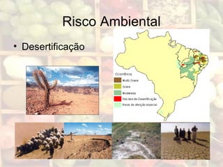Risco Ambiental
• Desertificação
 
