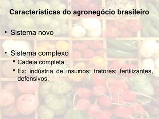Características do agronegócio brasileiro
• Sistema novo
• Sistema complexo
 Cadeia completa
 Ex: indústria de insumos: tratores; fertilizantes,
defensivos.
 