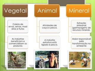 Vegetal               Animal              Mineral
                                                Extração
     Coleta de
                       Atividades de            artesanal
 ervas, seivas, mad
                       caça e pesca.       (garimpagem) de
    eiras e frutos
                                           recursos minerais.



    As indústrias                          Maior responsável
                          A indústria
   beneficiam e                                   pela
                         extrativa está
 comercializam os                          transformação no
                       ligada à pesca.
     produtos                                  ambiente
 