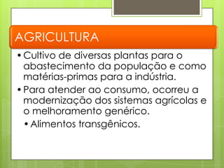 AGRICULTURA
• Cultivo de diversas plantas para o
  abastecimento da população e como
  matérias-primas para a indústria.
• Para atender ao consumo, ocorreu a
  modernização dos sistemas agrícolas e
  o melhoramento genérico.
  • Alimentos transgênicos.
 