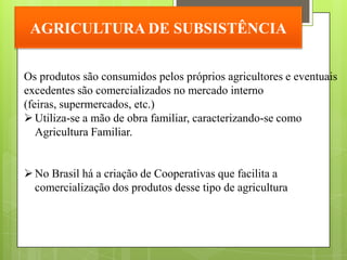 AGRICULTURA DE SUBSISTÊNCIA


Os produtos são consumidos pelos próprios agricultores e eventuais
excedentes são comercializados no mercado interno
(feiras, supermercados, etc.)
 Utiliza-se a mão de obra familiar, caracterizando-se como
   Agricultura Familiar.


 No Brasil há a criação de Cooperativas que facilita a
  comercialização dos produtos desse tipo de agricultura
 