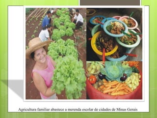 Agricultura familiar abastece a merenda escolar de cidades de Minas Gerais
 