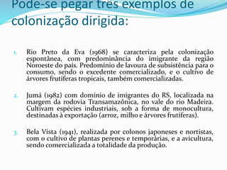 Pode-se pegar três exemplos de
colonização dirigida:
1. Rio Preto da Eva (1968) se caracteriza pela colonização
espontânea, com predominância do imigrante da região
Noroeste do país. Predomínio de lavoura de subsistência para o
consumo, sendo o excedente comercializado, e o cultivo de
árvores frutíferas tropicais, também comercializadas.
2. Jumá (1982) com domínio de imigrantes do RS, localizada na
margem da rodovia Transamazônica, no vale do rio Madeira.
Cultivam espécies industriais, sob a forma de monocultura,
destinadas à exportação (arroz, milho e árvores frutíferas).
3. Bela Vista (1941), realizada por colonos japoneses e nortistas,
com o cultivo de plantas perenes e temporárias, e a avicultura,
sendo comercializada a totalidade da produção.
 