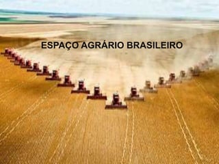 ESPAÇO AGRÁRIO BRASILEIRO
 