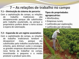 7 – As relações de trabalho no campo
7.1 – Diminuição do sistema de parceria:       Tipos de propriedades
Com a capitalização do campo, as relações      agropecuárias:
  de      trabalho      tradicionais     vão
  desaparecendo porque são substituídas        • Minifúndios;
  pelo trabalho assalariado, ou porque o       • Empresas rurais;
  proprietário prefere deixar a terra ociosa   • Latifúndio por exploração;
  á espera de valorização.                     • Latifúndio por dimensão.

7.2 – Expansão de um regime associativo:
Com a capitalização do campo, as relações
  de trabalho tradicionais tendiam a
  desaparecer      mais,     porque      são
  substituídas pelo trabalho assalariado, no
  entanto, para diminuir custo e encargos,
  as grandes empresas desenvolveram uma
  nova forma de trabalhar no campo,
  incentivando o pequeno e o médio
  produtor a produzir para eles.
 