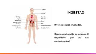 INGESTÃO
Diversos órgãos envolvidos.
Ocorre por descuido ou acidente É
responsável por 2% das
contaminações!
 