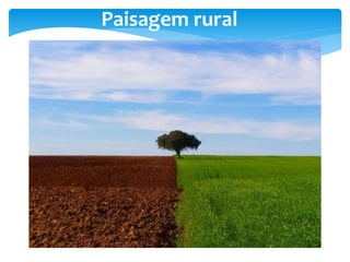 Paisagem rural
 
