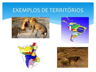 EXEMPLOS DE TERRITÓRIOS
 