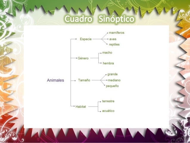 Cómo Hacer Un Cuadro Sinóptico Bonito