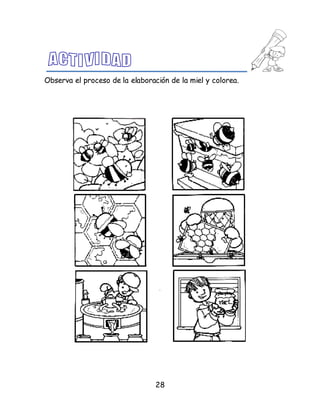 28
Observa el proceso de la elaboración de la miel y colorea.
 