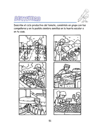 51
Describe el ciclo productivo del tomate, coméntalo en grupo con tus
compañeros y en lo posible siembra semillas en la huerta escolar o
en tu casa.
 