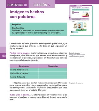128
90
Imágenes hechas con palabras
Platica con tu grupo de las semejanzas que hay entre un tigre y
un gato.
Busca y lee el poema ¿Qué es el gato?, para contestar con dos
compañeros la siguiente pregunta.
¿Por qué crees que el autor del poema dice que “el gato es una gota
de tigre”?
LECCIÓN 5BIMESTRE III
E1ALUMNO_R.indd 90 06/06/14 20:37
Imágenes hechas
con palabras
Propósito
Que los niños:
Disfruten la lectura de un poema breve a partir de descubrir
su significado y lo tomen como modelo para crear otros.
Comente con los niños que van a leer un poema que se titula ¿Qué
es el gato?; pero que antes de leerlo, dirán en qué se parecen un
tigre y un gato.
Platica con tu grupo… Lea la indicación y propicie que digan las
semejanzas y las diferencias que existen entre estos animales y
escríbalas en el pizarrón, organizadas en dos columnas, como se
muestra en el siguiente ejemplo:
Semejanzas Diferencias
Forma de la cabeza
Piel cubierta de pelo
Forma de la cola
Hágales notar que existen más semejanzas que diferencias
entre ambos animales. Luego, pregúnteles: ¿para qué les gusta-
ría leer el poema? Escuche sus respuestas y recuérdeles que cada
quien puede tener un propósito diferente.
Busca y lee el poema… Lea la indicación en voz alta. Invite a los
alumnos a localizar el poema en su Libro de lectura para que lo
lean.
Estrategias de
comprensión lectora.
Conocimientos previos.
Propósito de lectura.
BIMESTRE III LECCIÓN 5
E1MAESTRO_R2.indd 128 06/06/14 22:31
 