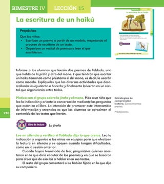 210
210
La escritura de un haikú
159
La escritura de un haikú
Platica con el grupo sobre la jirafa y el mono.
¿Qué come la jirafa?, ¿con qué la compararías?
¿En dónde vive el mono?, ¿qué hace?, ¿sabe hablar?
¿Qué crees que dirá Tablada en un poema sobre la jirafa y en otro
sobre un mono?
Lee en silencio y verifica si Tablada dijo lo que creías.
LECCIÓN 15BIMESTRE IV
E1ALUMNO_R.indd 159 06/06/14 20:37
Propósitos
Que los niños:
•	 Escriban un poema a partir de un modelo, respetando el
proceso de escritura de un texto.
•	 Organicen un recital de poemas y lean el que
escribieron.
Informe a los alumnos que leerán dos poemas de Tablada, uno
que habla de la jirafa y otro del mono. Y que tendrán que escribir
un haikú tomando como préstamo el del mono, es decir, lo usarán
como modelo. Explíqueles que las diversas actividades que desa-
rrollarán les ayudarán a hacerlo; y finalmente lo leerán en un reci-
tal que organizarán entre todos.
Platica con el grupo sobre la jirafa y el mono. Pida a un niño que
lea la indicación y oriente la conversación mediante las preguntas
que están en el libro. La intención de promover este intercambio
de información y creencias es que los alumnos se aproximen al
contenido de los textos que leerán.
Estrategias de
comprensión
lectora. Conocimientos
previos.
Predicciones.
Lee en silencio y verifica si Tablada dijo lo que creías. Lea la
indicación y organice a los niños en equipos para que efectúen
la lectura en silencio y se apoyen cuando tengan dificultades,
como en la sesión anterior.
Cuando hayan terminado de leer, pregúnteles quiénes acer-
taron en lo que diría el autor de los poemas y en qué se basaron
para creer que de eso iba a hablar él en sus textos.
El resto del grupo comentará si se habían fijado en lo que dijo
su compañero.
La jirafa
BIMESTRE IV LECCIÓN 4BIMESTRE IV LECCIÓN 15
E1MAESTRO_R2.indd 210 06/06/14 22:31
 