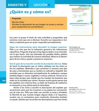 246
246
191
¿Quién es y cómo es?
Sigue las instrucciones para descubrir la imagen sorpresa.
1. Traza una línea siguiendo el orden de los números.
2. Escribe el nombre de la figura que descubriste.
3. Colorea el dibujo que apareció.
Escribe un listado de características del ave que descubriste.
Toma en cuenta el tamaño, el color de su plumaje, la forma de su cuerpo
(cabeza, cuello, patas, ojos); si es gordo, flaco o regular.
LECCIÓN 8BIMESTRE V
E1ALUMNO_R.indd 191 06/06/14 20:38
¿Quién es y cómo es?
Propósito
Que los niños:
Escriban la descripción de una imagen, la revisen y corrijan
para compartirla con sus familiares.
Lea para el grupo el título de esta actividad y pregúnteles qué
acciones creen que van a efectuar. Escuche sus respuestas e inví-
telos a realizarla para ver quién respondió acertadamente.
Sigue las instrucciones para descubrir la imagen sorpresa.
Pida a un niño que lea la indicación general y las indicaciones
específicas. Pregunte al grupo si hay alguna duda o si ya entendie-
ron lo que harán. Una vez aclaradas las posibles dudas, pídales
que realicen la actividad de manera individual. Observe el desem-
peño de los niños y ayude a quienes lo requieran.
Con la guía de tu maestro escribe la descripción del ave. Antes
de hacer la descripción que se indica, platique con los niños so-
bre los zopilotes. Motívelos a que comenten si conocen este tipo
de aves y mencióneles que su nombre en náhuatl es tzopilotl. Son
animales que se alimentan principalmente de cadáveres, aunque
también llegan a comer vegetales e incluso estiércol. Tienen la ca-
beza calva porque esto impide que los invadan las bacterias que
están en la suciedad que comen. Aunque mucha gente piensa que
los zopilotes son criaturas feas, su labor de limpieza de cadáveres
es necesaria y muy valiosa para la naturaleza.
Anime a los niños a escribir la descripción del zopilote que
encontraron para que les muestren a sus papás las característi-
cas de esta ave. Pida que cada uno escriba su texto y bríndeles
la libertad de que cuando tengan alguna duda o lo requieran,
acudan con un compañero para resolverla; ofrézcales también
su ayuda. Solicite que recuerden las descripciones que han hecho
Estrategias de
comprensión lectora.
Localización de
información explícita.
Producción
de textos. Planificación:
tipo de texto, tema,
propósito y destinatario.
BIMESTRE V LECCIÓN 8
E1MAESTRO_R2.indd 246 06/06/14 22:31
 