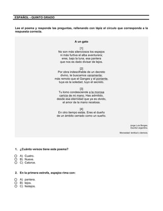ESPAÑOL - QUINTO GRADO
Lee el poema y responde las preguntas, rellenando con lápiz el círculo que corresponda a la
respuesta correcta.
A un gato
[1]
No son más silenciosos los espejos
ni más furtiva el alba aventurera;
eres, bajo la luna, esa pantera
que nos es dado divisar de lejos.
[2]
Por obra indescifrable de un decreto
divino, te buscamos vanamente;
más remoto que el Ganges y el poniente,
tuya es la soledad, tuyo el secreto.
[3]
Tu lomo condesciende a la morosa
caricia de mi mano. Has admitido,
desde esa eternidad que ya es olvido,
el amor de la mano recelosa.
[4]
En otro tiempo estás. Eres el dueño
de un ámbito cerrado como un sueño.
Jorge Luis Borges.
Escritor argentino.
Morosidad: lentitud o demora.
1. ¿Cuánto versos tiene este poema?
A) Cuatro.
B) Nueve.
C) Catorce.
2. En la primera estrofa, espejos rima con:
A) pantera.
B) lejos.
C) festejos.
 