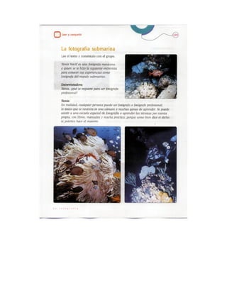 Español actividades cuarto grado 93