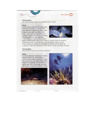 Español actividades cuarto grado 93