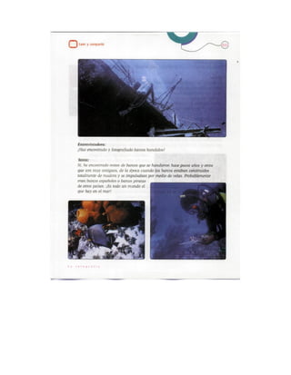 Español actividades cuarto grado 93