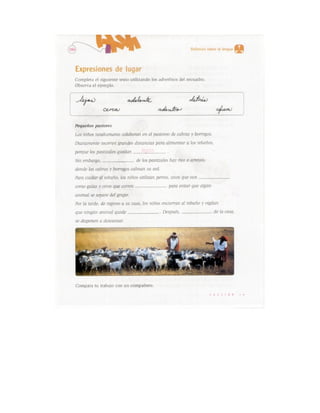 Español actividades cuarto grado 93