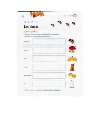 Español actividades cuarto grado 93