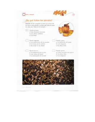 Español actividades cuarto grado 93