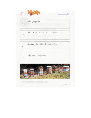 Español actividades cuarto grado 93