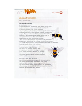 Español actividades cuarto grado 93