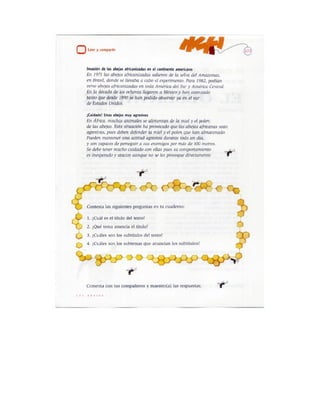 Español actividades cuarto grado 93